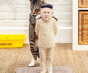 Kim-Jong-Un-cat-scratching-post
